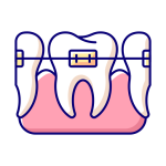 Home Dentist In Wellington